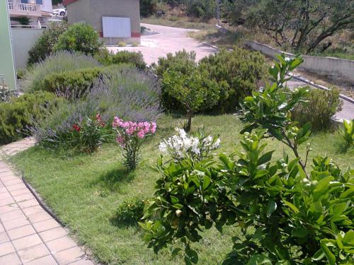 Apartments Delta in ออกรุค กอนจิ Apartments Delta in ออกรุค กอนจิ