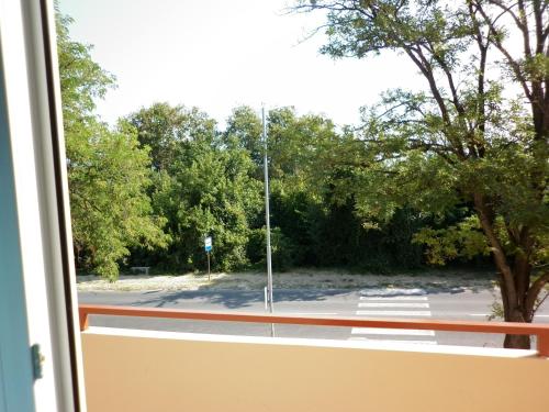 شرفة/ تراس, Ivanova Cheshma Guest House in Zelenika شرفة/ تراس, Ivanova Cheshma Guest House in Zelenika