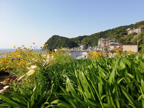Izu Hokkawa Seaside Guesthouse 伊豆北川の家 in Izu Izu Hokkawa Seaside Guesthouse 伊豆北川の家 in Izu