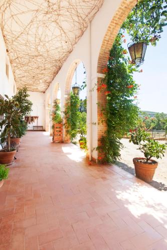 מתקני המלון, Agriturismo Grazia in אורבטלו מתקני המלון, Agriturismo Grazia in אורבטלו