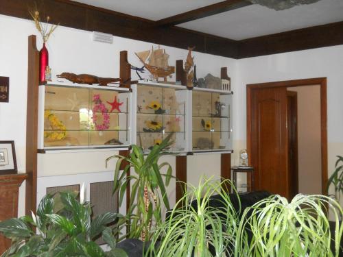 This photo about Hotel Harmony shared on HyHotel.com