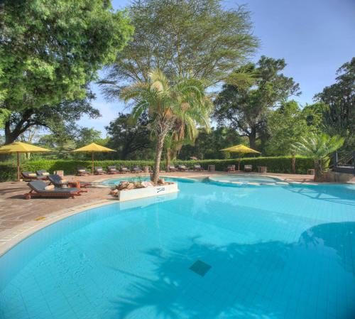 בריכת שחיה, Sarova Mara Game Camp in Narok בריכת שחיה, Sarova Mara Game Camp in Narok