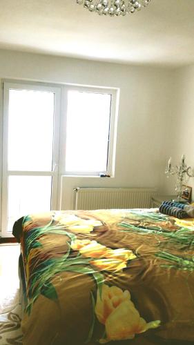 Apartament Langa Telecabina in 布什泰尼 Apartament Langa Telecabina in 布什泰尼