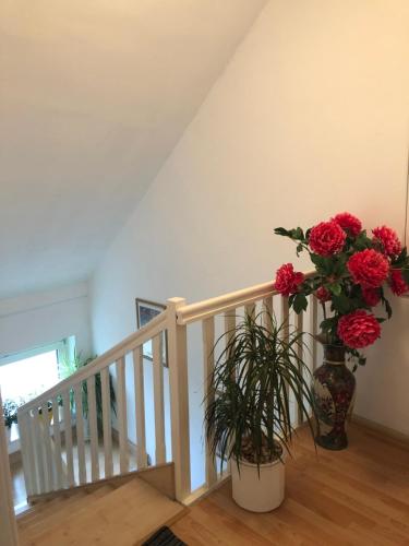 2 Privatzimmer , Dusche /WC nahe Köln (2 Privatzimmer , Dusche /WC nahe Koln) in Frechen 2 Privatzimmer , Dusche /WC nahe Köln (2 Privatzimmer , Dusche /WC nahe Koln) in Frechen