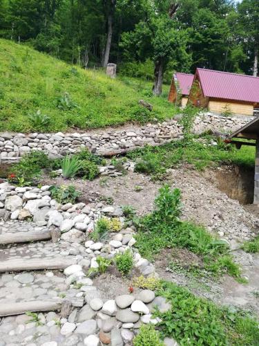 Hotel RAFTING KAMP TARA TOP