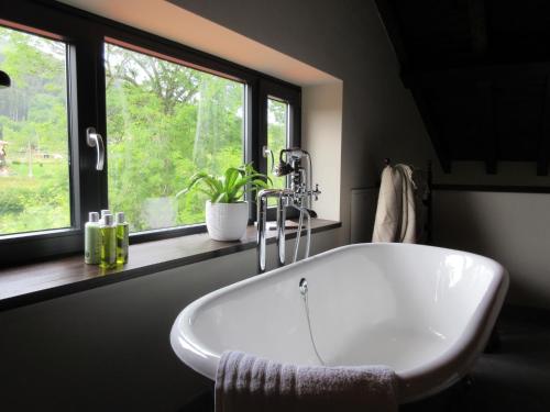 This photo about El Gran Sueno Rooms & Suites shared on HyHotel.com