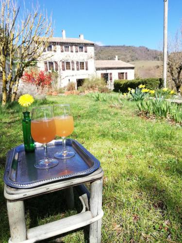 Garden, Domaine des Goudis in Le Boulou Garden, Domaine des Goudis in Le Boulou