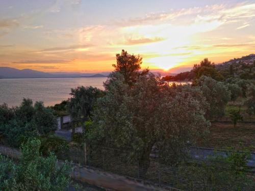 Theologos: Front Sea View Apartment in Theologos (Fthiotis) Theologos: Front Sea View Apartment in Theologos (Fthiotis)