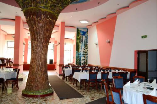 مطعم, Hotel Bradul in Durau مطعم, Hotel Bradul in Durau