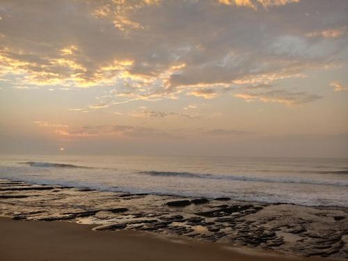 Pantai, Turtle Creek - Leatherback in Umkomaas Pantai, Turtle Creek - Leatherback in Umkomaas