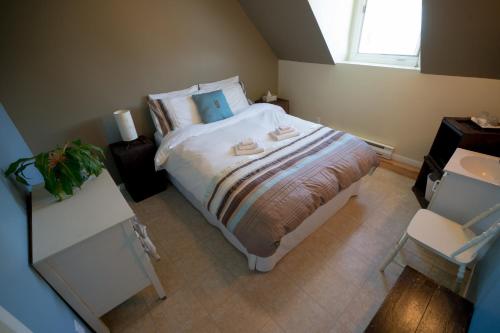 This photo about Le Goeland shared on HyHotel.com