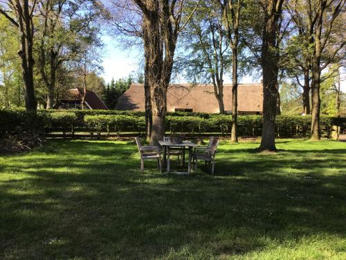Garden, Eursingerhof in Havelte Garden, Eursingerhof in Havelte