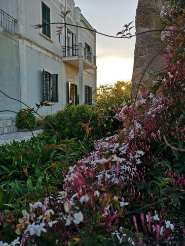 Garden, B&B villa Maria in Giovinazzo Garden, B&B villa Maria in Giovinazzo
