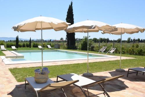 Úszómedence, Agriturismo Poderedodici in Orbetello Úszómedence, Agriturismo Poderedodici in Orbetello