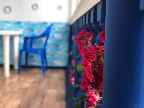 Guest House Villa Mari in Anapa Guest House Villa Mari in Anapa