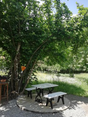 Guest House Carpediem in Ushkhvanari Guest House Carpediem in Ushkhvanari