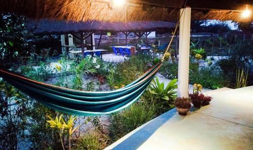 Balkon/teras, Le Papayer Écolodge (Le Papayer Ecolodge) in Kafountine Balkon/teras, Le Papayer Écolodge (Le Papayer Ecolodge) in Kafountine
