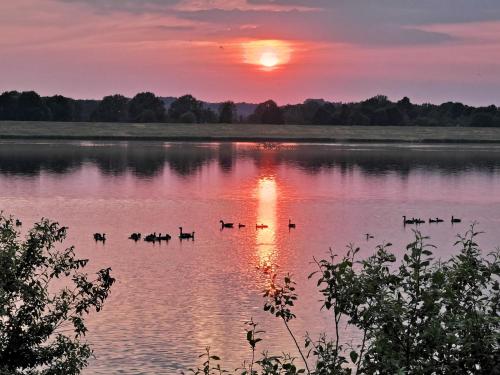 A környék, Ferienhaus Rhode am Alfsee in Rieste A környék, Ferienhaus Rhode am Alfsee in Rieste