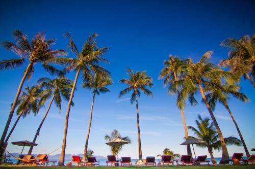 設備, ココパーム ビーチ リゾート (Cocopalm Beach Resort) in メ ナム 設備, ココパーム ビーチ リゾート (Cocopalm Beach Resort) in メ ナム