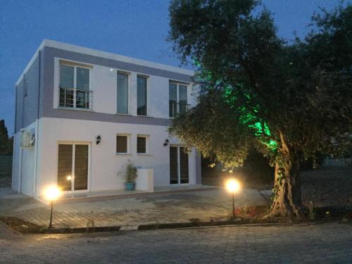 Hotel Suluca Home