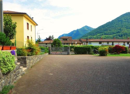 3 Olivi, Lago d'Iseo in Solto Collina 3 Olivi, Lago d'Iseo in Solto Collina