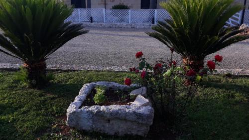 Garden, Masseria San Nicola B&B in Torre Santa Susanna Garden, Masseria San Nicola B&B in Torre Santa Susanna