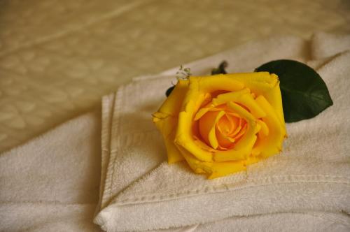 This photo about Hotel Donde Marcelo shared on HyHotel.com