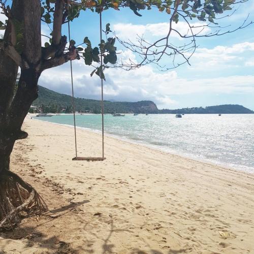 This photo about Casa Luna Hostel shared on HyHotel.com