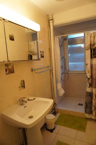Bathroom, Bel Appartement Spacieux, agreable et bien situe in Saint-Eloi Bathroom, Bel Appartement Spacieux, agreable et bien situe in Saint-Eloi