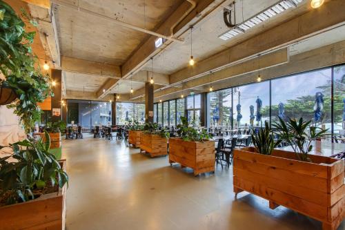 Restaurante, North Pier Hotel in Phillip Island Restaurante, North Pier Hotel in Phillip Island