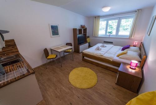 Apartman Lipno 20 in Lipno nad Vltavou Apartman Lipno 20 in Lipno nad Vltavou