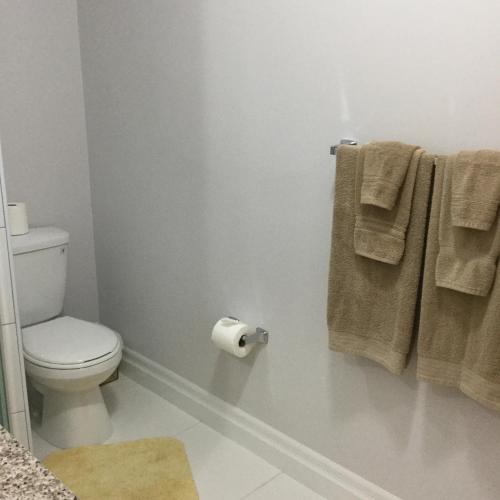 Kamar Mandi, Courage in Nassau Kamar Mandi, Courage in Nassau