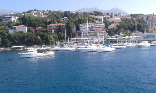 Surrounding environment, KAPOR HOUSE-wonderful sea view in Podi Surrounding environment, KAPOR HOUSE-wonderful sea view in Podi