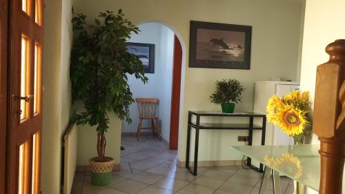 location à la campagne aux portes de Mulhouse (location a la campagne aux portes de Mulhouse) in ซูร์ซาม location à la campagne aux portes de Mulhouse (location a la campagne aux portes de Mulhouse) in ซูร์ซาม