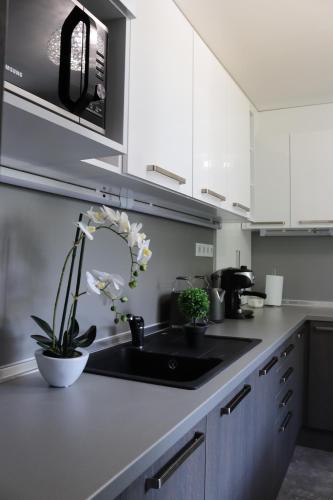 Luxury Dream Apartman in Eger Luxury Dream Apartman in Eger