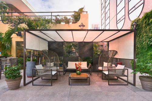 حديقة, Oro Verde Guayaquil in جواياكيل حديقة, Oro Verde Guayaquil in جواياكيل