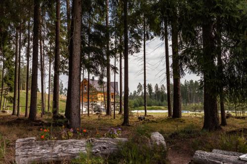 Metsjarve apartments in Põlva Metsjarve apartments in Põlva