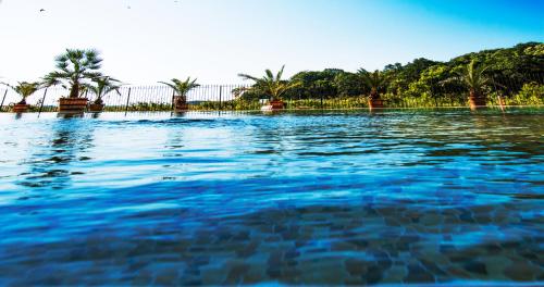 الأنشطة, Zornitsa Apart in Primorsko Beachfront الأنشطة, Zornitsa Apart in Primorsko Beachfront