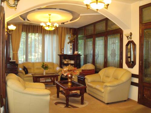 Zajednički dnevni boravak / prostorija s TV-om, Hotel Ami in Baile Felix Zajednički dnevni boravak / prostorija s TV-om, Hotel Ami in Baile Felix
