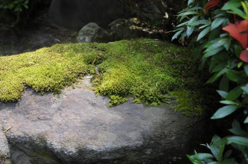 Surrounding environment, Historical Ryokan SENYUKAN in Owani Surrounding environment, Historical Ryokan SENYUKAN in Owani