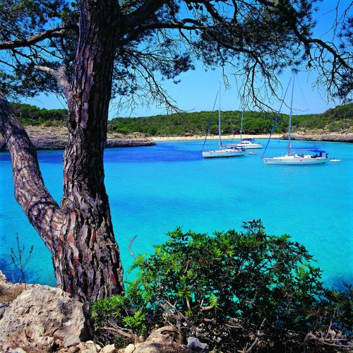 مناطق جذب قريبة, Apartamentos Cala d'Or Playa in كالا دور مناطق جذب قريبة, Apartamentos Cala d'Or Playa in كالا دور