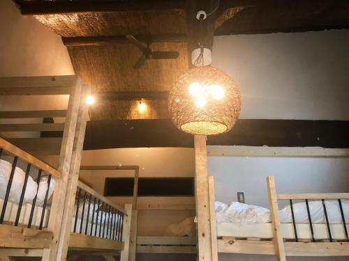 This photo about Mad Cat Hostel Osaka & Bar shared on HyHotel.com