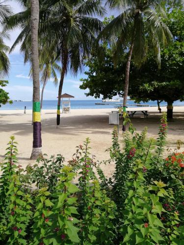 Reggae Hostel Ocho Rios