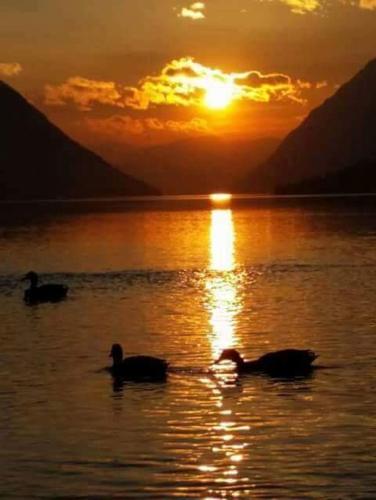 This photo about Bed & Breakfast Fiore shared on HyHotel.com