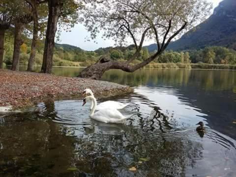 This photo about Bed & Breakfast Fiore shared on HyHotel.com