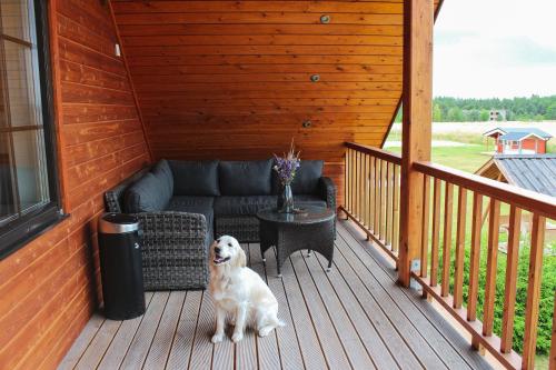 Erkély/terasz, Põhja Tooma majutus (Pohja Tooma majutus) in Kivi Erkély/terasz, Põhja Tooma majutus (Pohja Tooma majutus) in Kivi