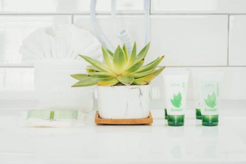 The Belmont Shore Inn in Long Beach The Belmont Shore Inn in Long Beach