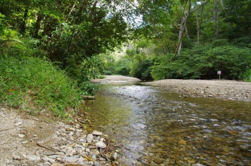 Yanbaru no mori in Ogimi Yanbaru no mori in Ogimi