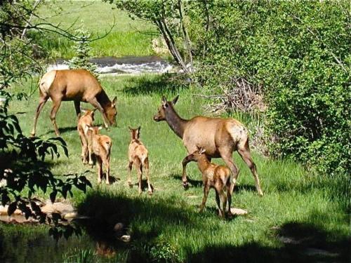 This photo about Romantic RiverSong Inn shared on HyHotel.com