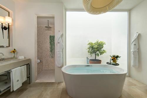 Rocco Forte Masseria Torre Maizza in Fasano Rocco Forte Masseria Torre Maizza in Fasano